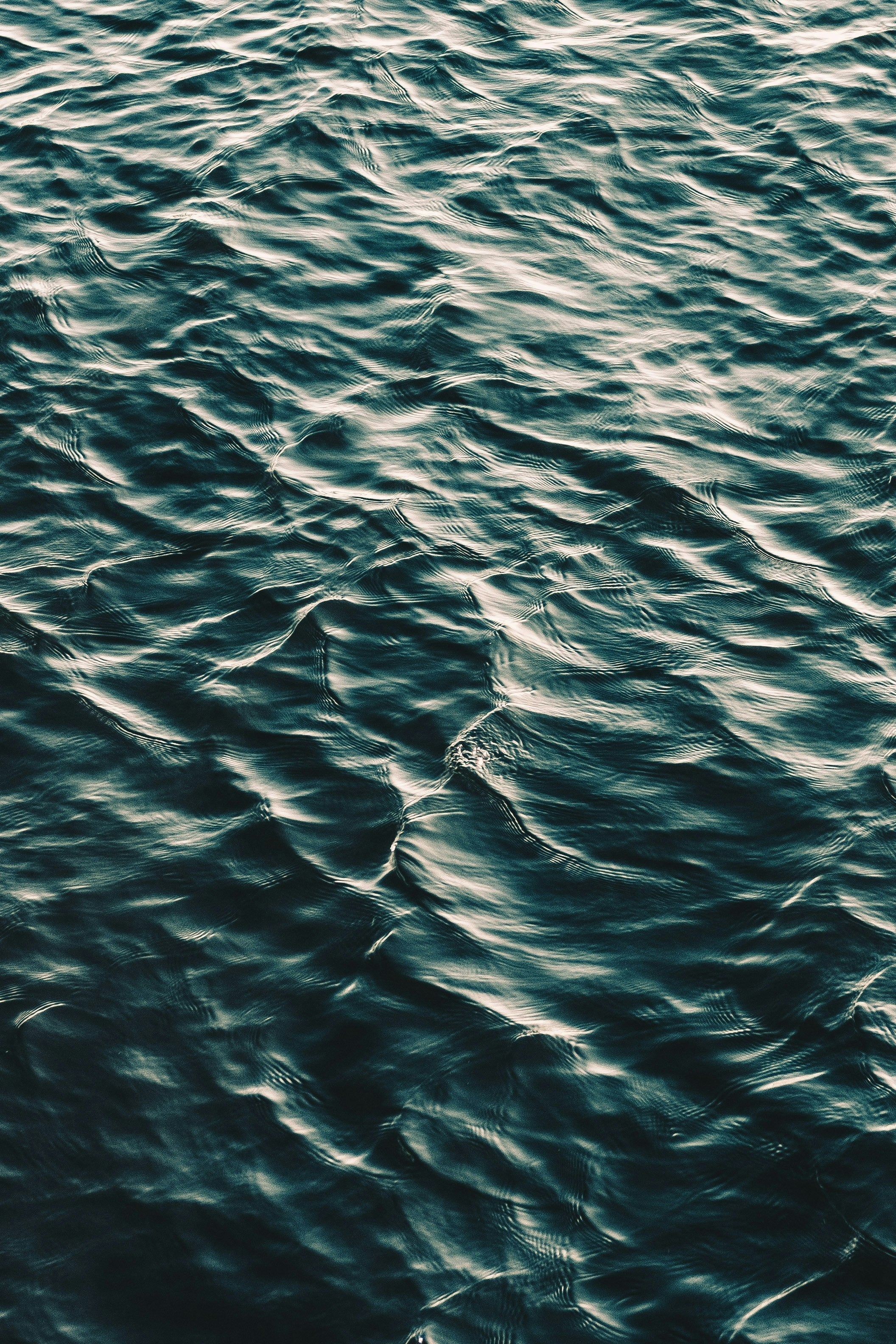 How Much Water Do We Need to Drink?.