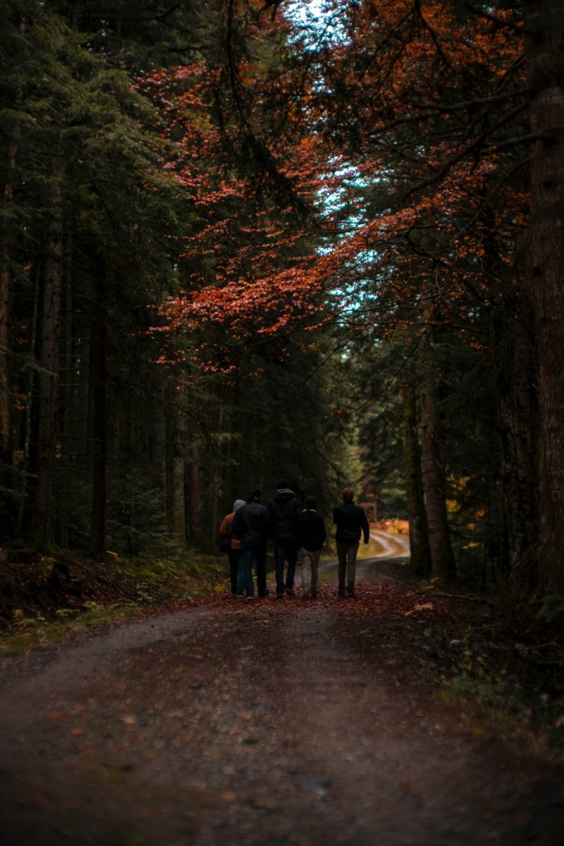 Stay Active When It’s Chilly: Simple Ways to Keep Moving This Autumn - Rightangled