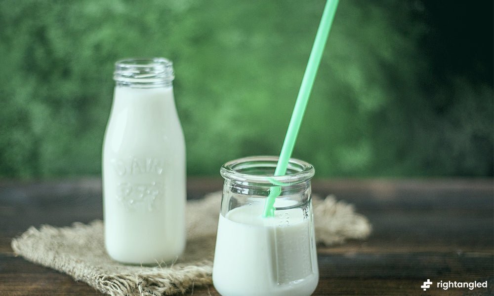 What to Know About Lactose Intolerance - Rightangled