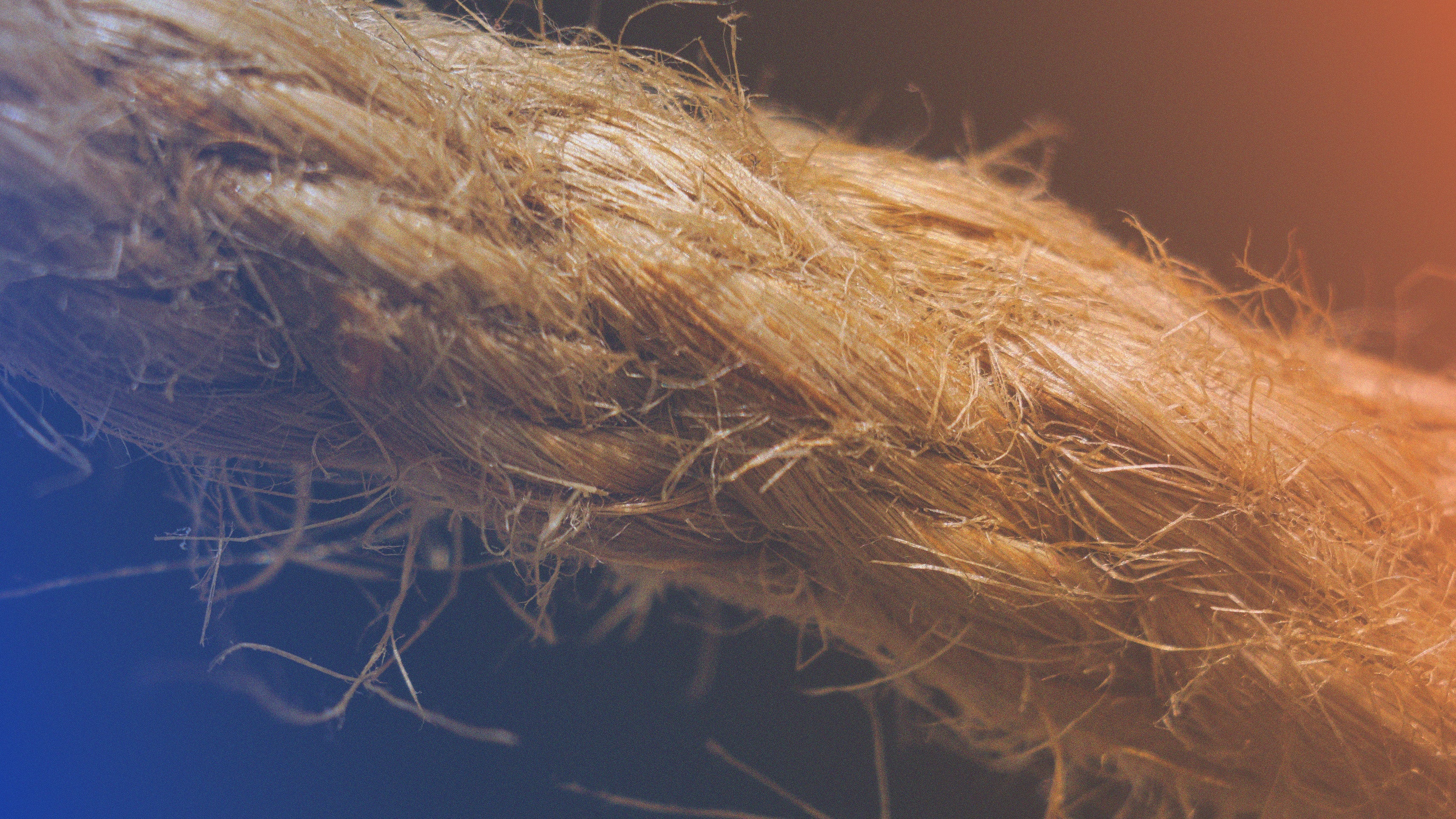 Thread Worm.